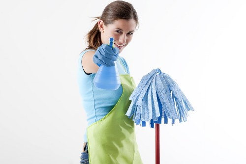 Professional steam carpet cleaning for a Twickenham home interior