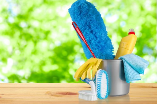 Professional end of tenancy cleaning service in Twickenham for a local rental property