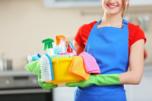 Professional domestic cleaning in a Twickenham family home