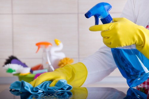 Regular cleaning service for a Twickenham home interior