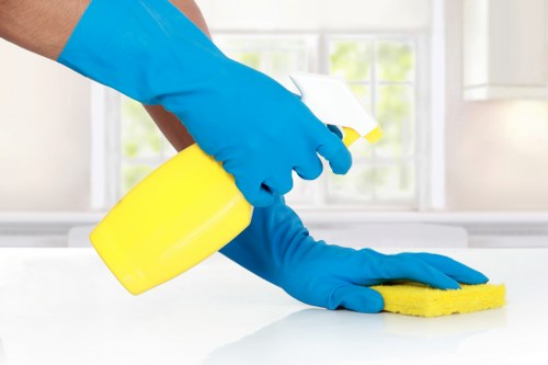 Bathroom cleaning during a move out service in Twickenham
