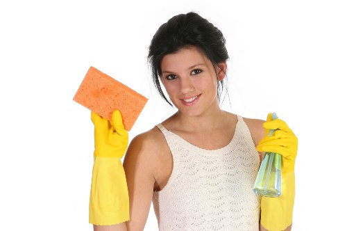 Commercial oven cleaning for a Twickenham café or small business