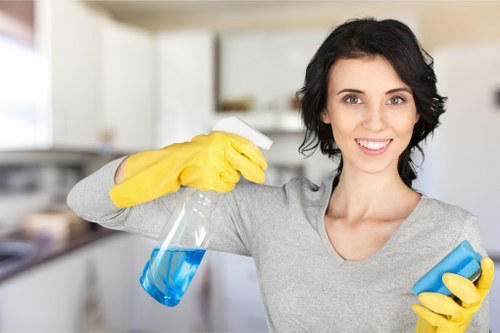 Professional cleaners in Twickenham introducing the company story