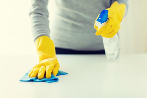 Professional deep cleaning in a Twickenham flat