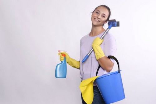 Residential window cleaning for a Twickenham terrace house