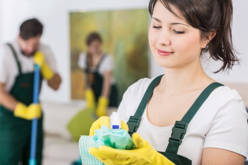 Risk assessment process for a Twickenham cleaner
