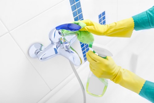 Domestic cleaning support for a Twickenham flat