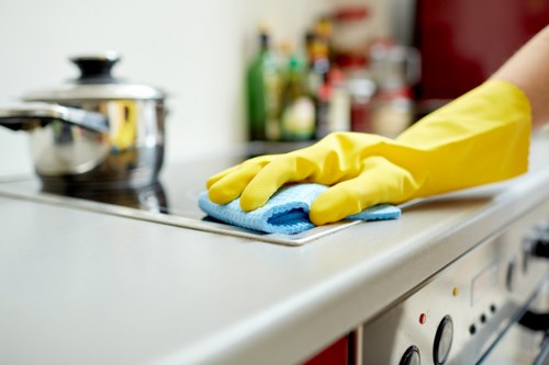 Professional cleaners maintaining a local office kitchen in Twickenham