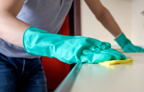 Local carpet cleaner treating stains and high-traffic areas