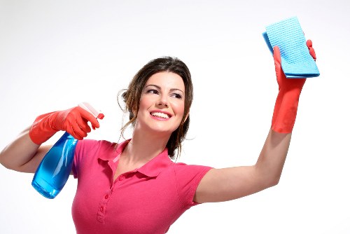 Mattress steam cleaning equipment used in a Twickenham property